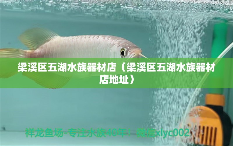 梁溪區(qū)五湖水族器材店（梁溪區(qū)五湖水族器材店地址） 全國水族館企業(yè)名錄