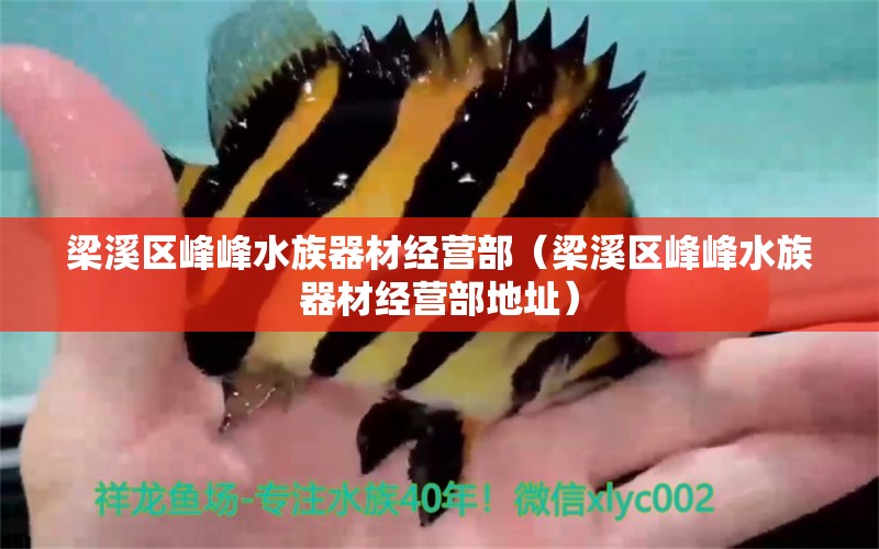 梁溪區(qū)峰峰水族器材經(jīng)營部（梁溪區(qū)峰峰水族器材經(jīng)營部地址） 全國水族館企業(yè)名錄