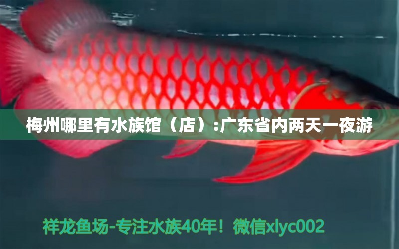 梅州哪里有水族館（店）:廣東省內(nèi)兩天一夜游