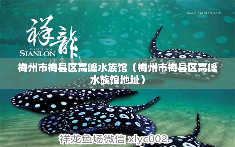 梅州市梅縣區(qū)高峰水族館（梅州市梅縣區(qū)高峰水族館地址） 全國水族館企業(yè)名錄