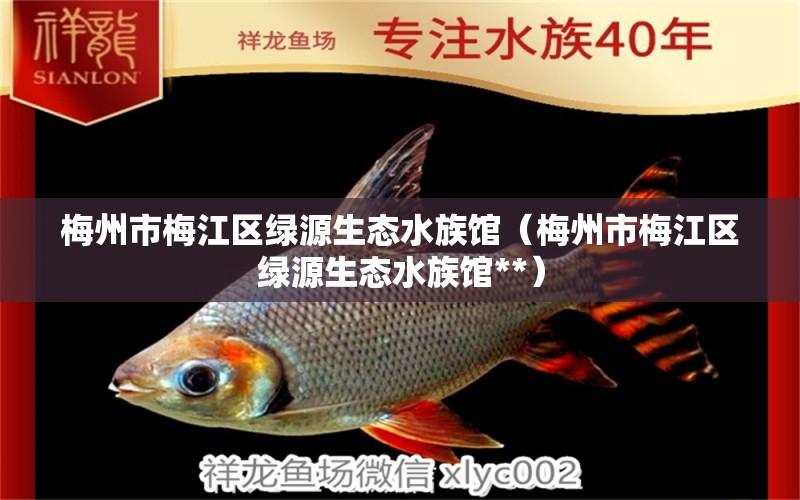 梅州市梅江區(qū)綠源生態(tài)水族館（梅州市梅江區(qū)綠源生態(tài)水族館**） 全國(guó)水族館企業(yè)名錄