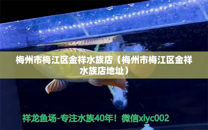 梅州市梅江區(qū)金祥水族店（梅州市梅江區(qū)金祥水族店地址）