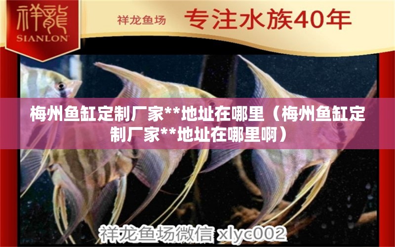 梅州魚缸定制廠家**地址在哪里（梅州魚缸定制廠家**地址在哪里?。? title=