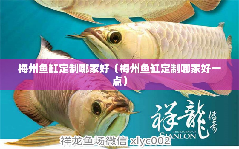 梅州魚缸定制哪家好（梅州魚缸定制哪家好一點） 水族問答 第1張