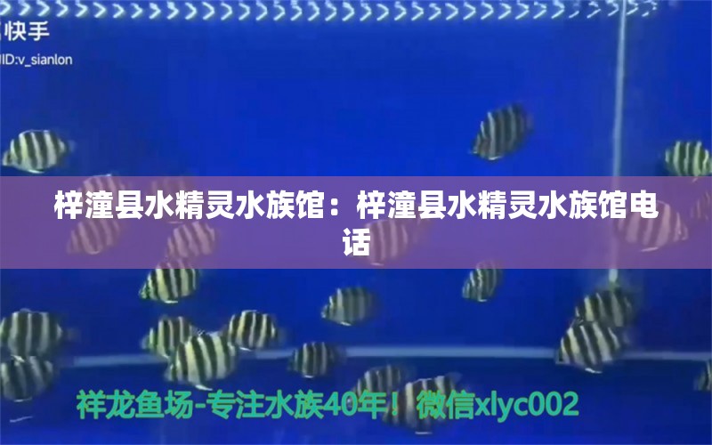 梓潼縣水精靈水族館：梓潼縣水精靈水族館電話