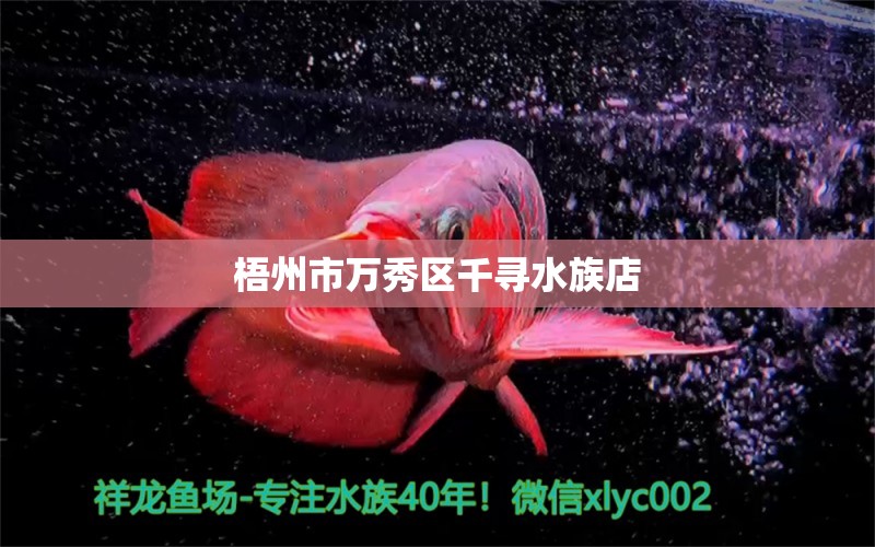 梧州市萬(wàn)秀區(qū)千尋水族店