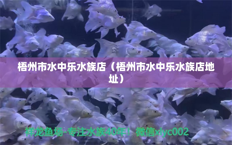 梧州市水中樂水族店（梧州市水中樂水族店地址）