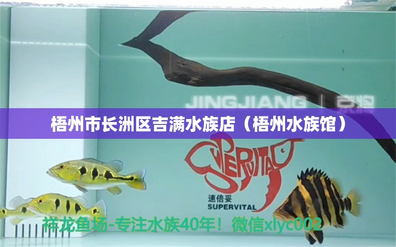 梧州市長(zhǎng)洲區(qū)吉滿水族店（梧州水族館）