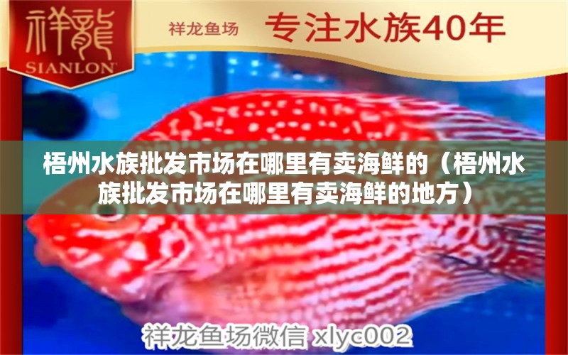 梧州水族批發(fā)市場在哪里有賣海鮮的（梧州水族批發(fā)市場在哪里有賣海鮮的地方）