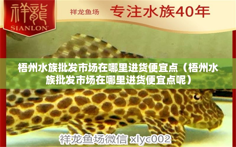 梧州水族批發(fā)市場在哪里進貨便宜點（梧州水族批發(fā)市場在哪里進貨便宜點呢）