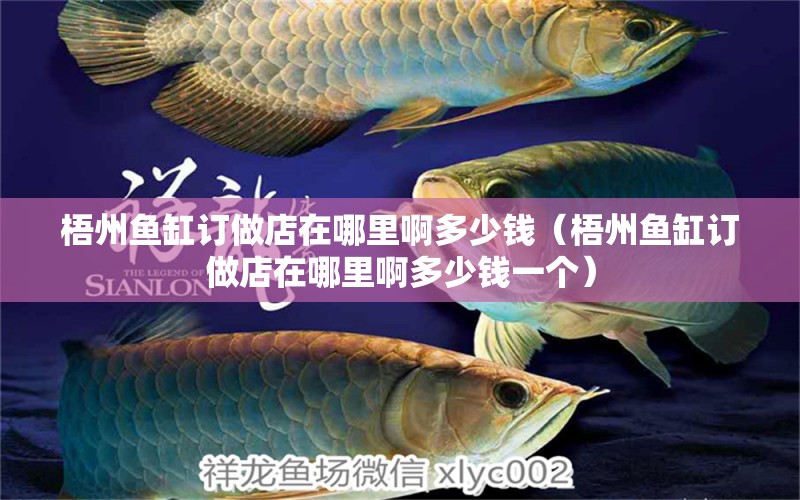 梧州魚(yú)缸訂做店在哪里啊多少錢(qián)（梧州魚(yú)缸訂做店在哪里啊多少錢(qián)一個(gè)） 祥龍魚(yú)場(chǎng)