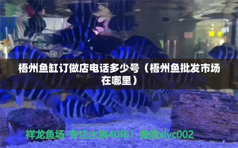 梧州魚缸訂做店電話多少號(hào)（梧州魚批發(fā)市場(chǎng)在哪里）