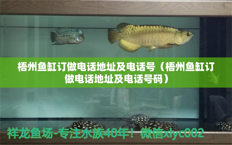 梧州魚(yú)缸訂做電話(huà)地址及電話(huà)號(hào)（梧州魚(yú)缸訂做電話(huà)地址及電話(huà)號(hào)碼）