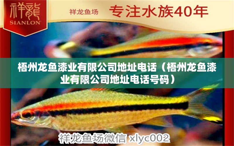 梧州龍魚漆業(yè)有限公司地址電話（梧州龍魚漆業(yè)有限公司地址電話號(hào)碼）