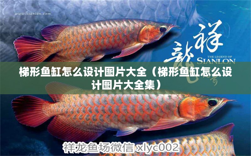 梯形魚(yú)缸怎么設(shè)計(jì)圖片大全（梯形魚(yú)缸怎么設(shè)計(jì)圖片大全集） 白子銀龍魚(yú)苗