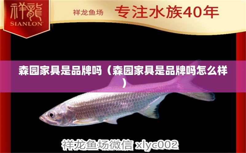 森園家具是品牌嗎（森園家具是品牌嗎怎么樣） 森森魚缸