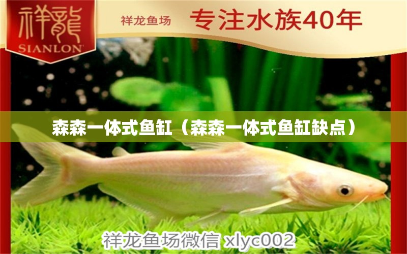 森森一體式魚缸（森森一體式魚缸缺點(diǎn)） 森森魚缸