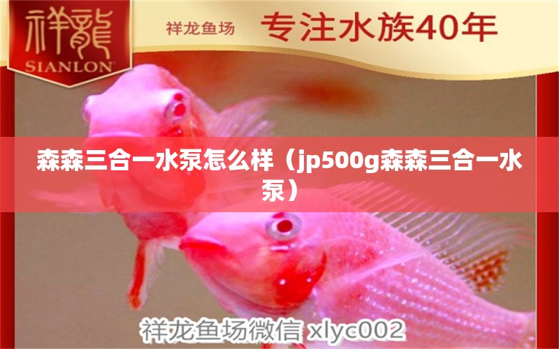 森森三合一水泵怎么樣（jp500g森森三合一水泵）