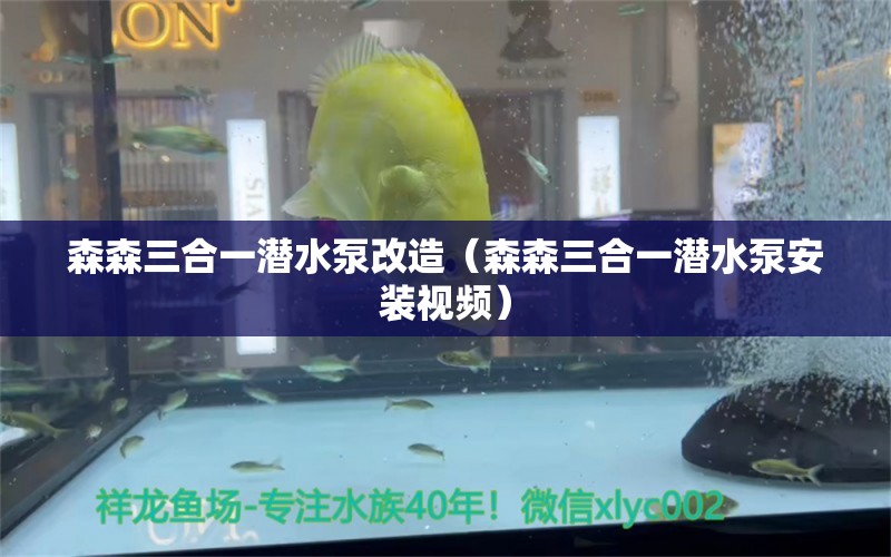 森森三合一潛水泵改造（森森三合一潛水泵安裝視頻）