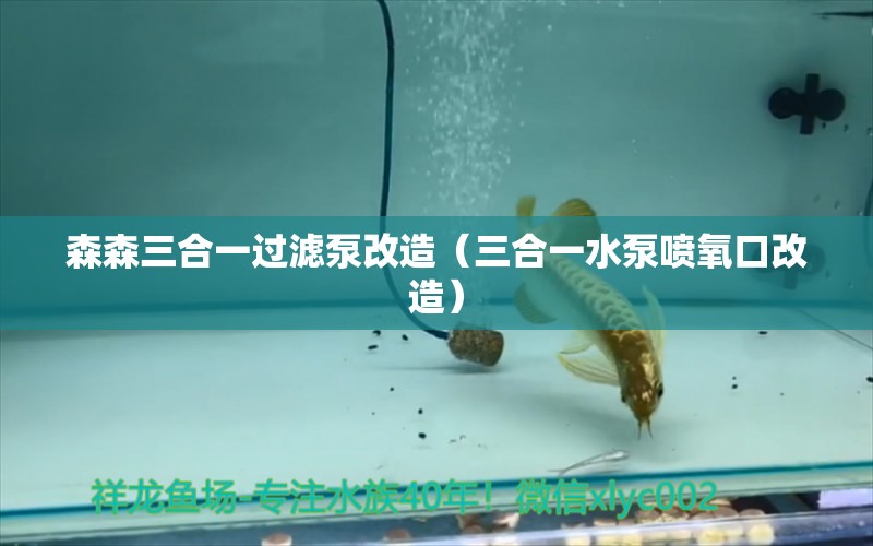 森森三合一過濾泵改造（三合一水泵噴氧口改造） 森森魚缸