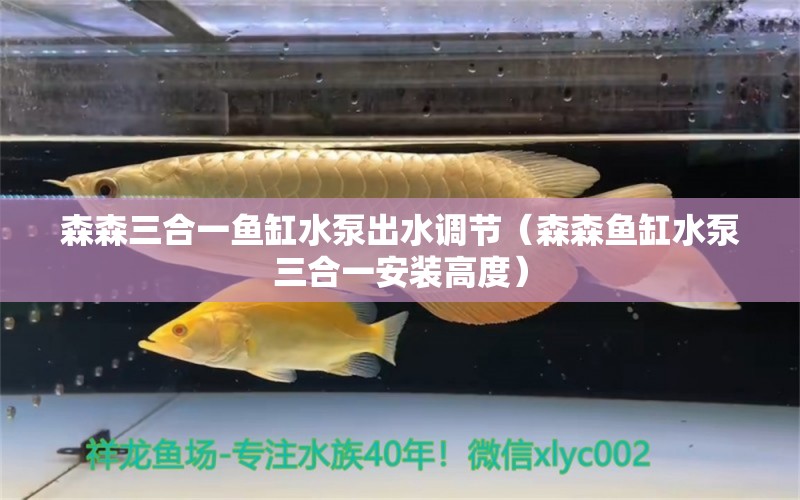 森森三合一魚缸水泵出水調(diào)節(jié)（森森魚缸水泵三合一安裝高度）