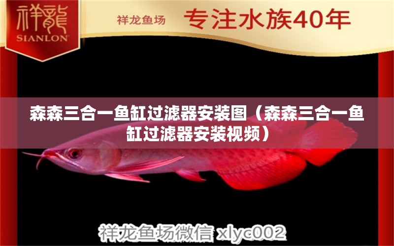 森森三合一魚缸過濾器安裝圖（森森三合一魚缸過濾器安裝視頻） 森森魚缸