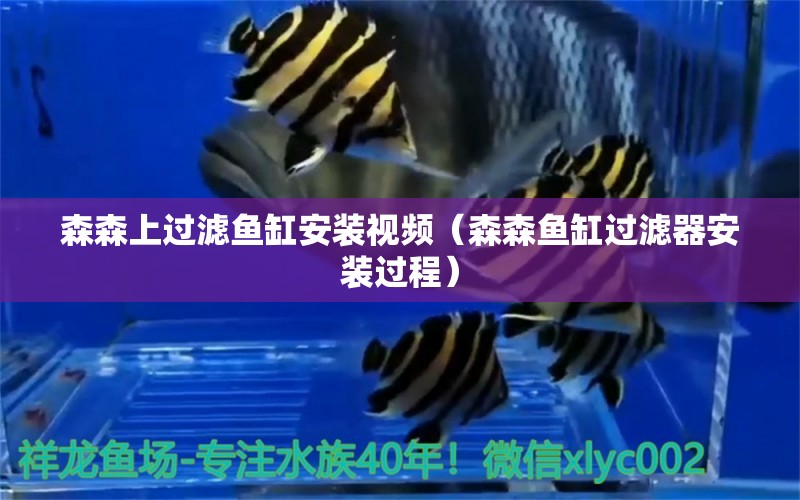 森森上過濾魚缸安裝視頻（森森魚缸過濾器安裝過程）