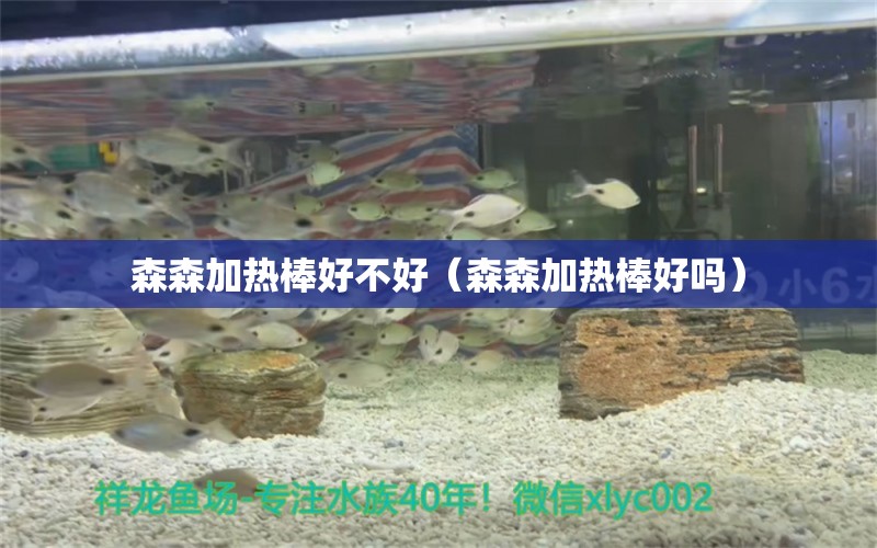 森森加熱棒好不好（森森加熱棒好嗎） 森森魚缸