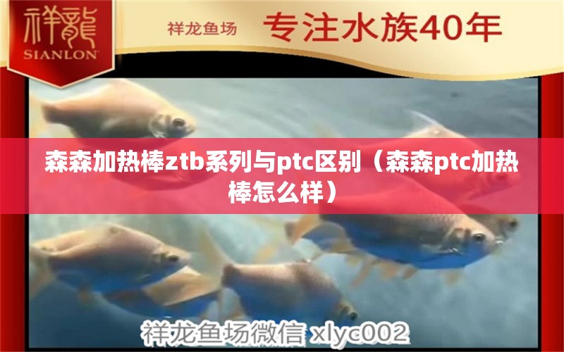 森森加熱棒ztb系列與ptc區(qū)別（森森ptc加熱棒怎么樣）