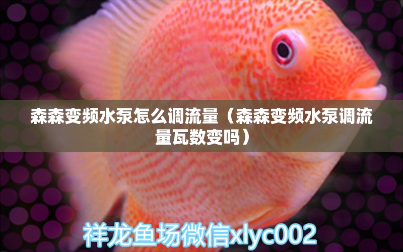 森森變頻水泵怎么調(diào)流量（森森變頻水泵調(diào)流量瓦數(shù)變嗎）