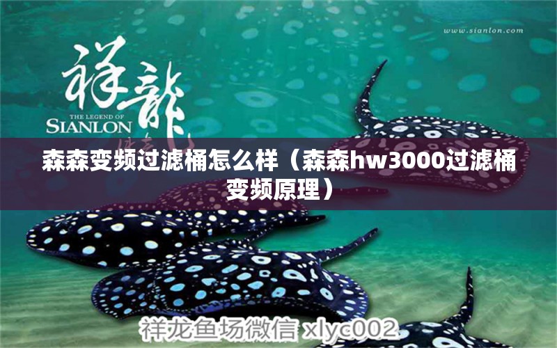 森森變頻過濾桶怎么樣（森森h(huán)w3000過濾桶變頻原理） 森森魚缸