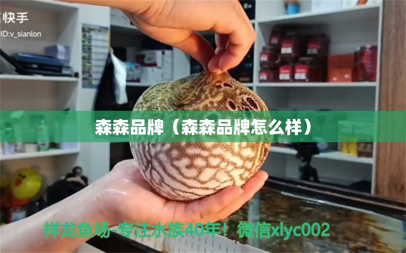 森森品牌（森森品牌怎么樣）