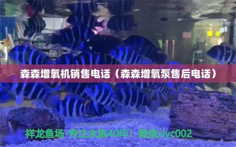 森森增氧機(jī)銷售電話（森森增氧泵售后電話） 過(guò)濾設(shè)備