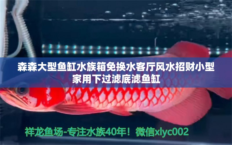 森森大型魚(yú)缸水族箱免換水客廳風(fēng)水招財(cái)小型家用下過(guò)濾底濾魚(yú)缸 魚(yú)缸風(fēng)水 第2張