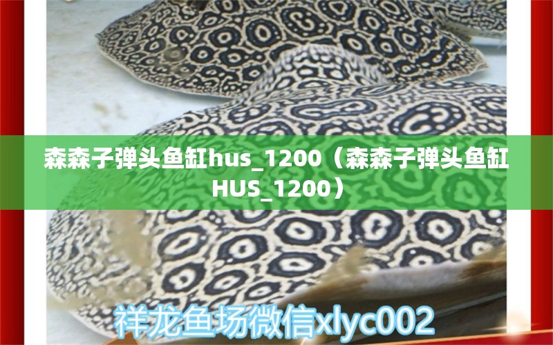 森森子彈頭魚(yú)缸hus_1200（森森子彈頭魚(yú)缸HUS_1200）