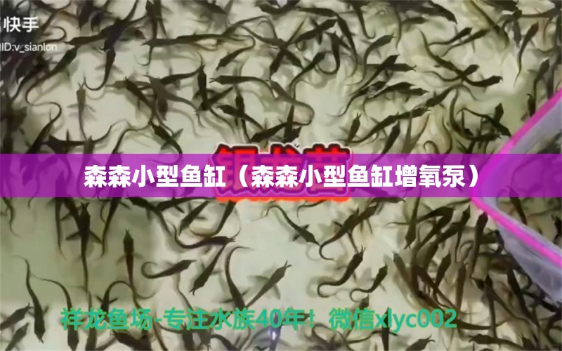 森森小型魚(yú)缸（森森小型魚(yú)缸增氧泵）