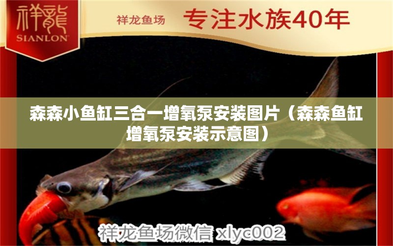 森森小魚缸三合一增氧泵安裝圖片（森森魚缸增氧泵安裝示意圖）