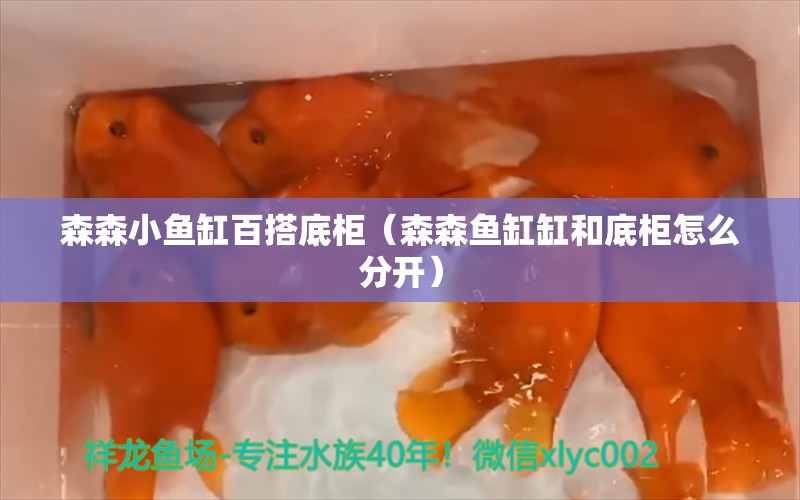 森森小魚缸百搭底柜（森森魚缸缸和底柜怎么分開）