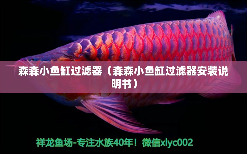 森森小魚缸過濾器（森森小魚缸過濾器安裝說明書）