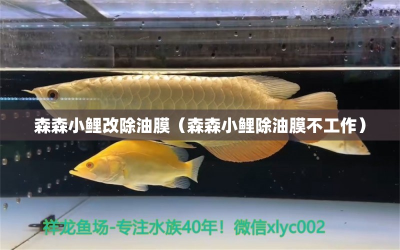 森森小鯉改除油膜（森森小鯉除油膜不工作）