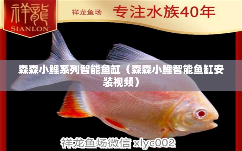 森森小鯉系列智能魚(yú)缸（森森小鯉智能魚(yú)缸安裝視頻）