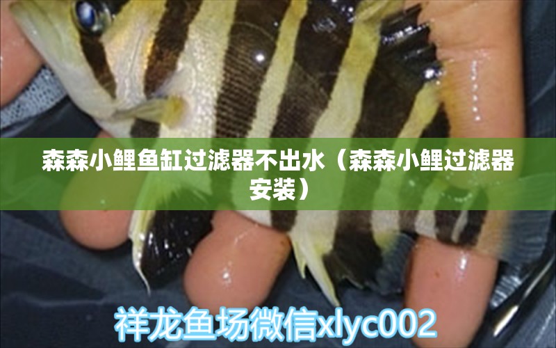 森森小鯉魚缸過濾器不出水（森森小鯉過濾器安裝）