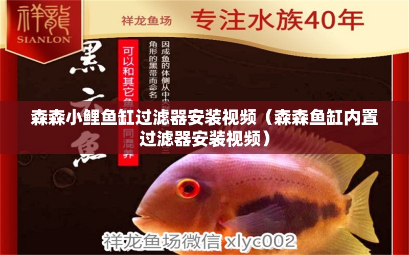 森森小鯉魚缸過(guò)濾器安裝視頻（森森魚缸內(nèi)置過(guò)濾器安裝視頻）