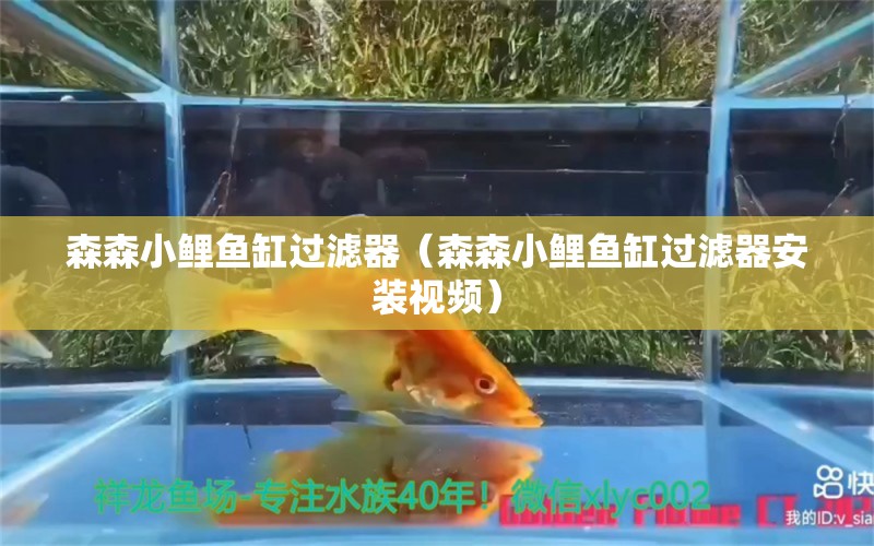 森森小鯉魚缸過濾器（森森小鯉魚缸過濾器安裝視頻）