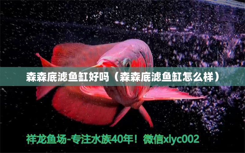 森森底濾魚缸好嗎（森森底濾魚缸怎么樣） 森森魚缸