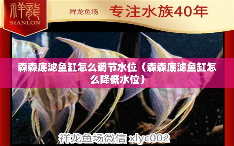 森森底濾魚缸怎么調(diào)節(jié)水位（森森底濾魚缸怎么降低水位） 森森魚缸