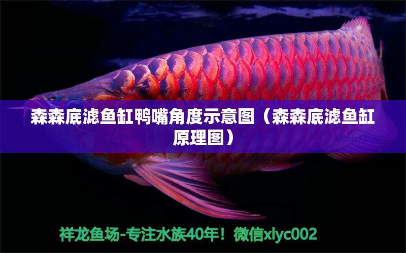 森森底濾魚缸鴨嘴角度示意圖（森森底濾魚缸原理圖）