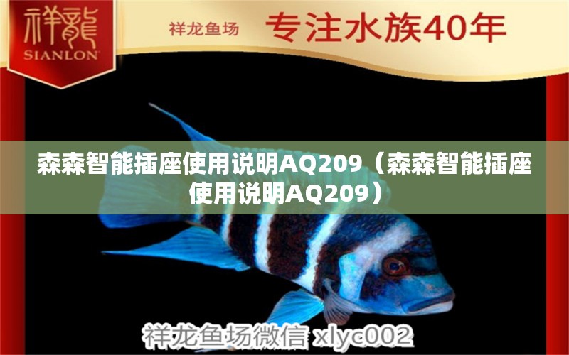 森森智能插座使用說明AQ209（森森智能插座使用說明AQ209）