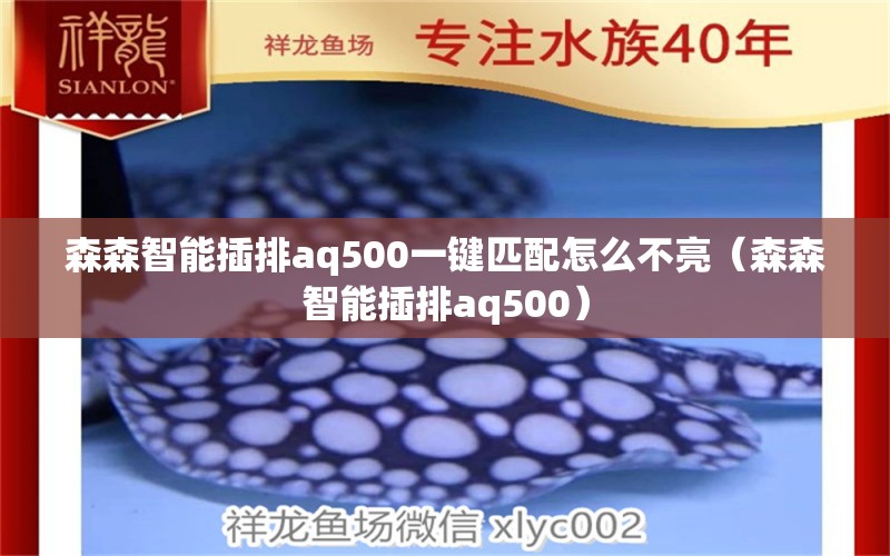 森森智能插排aq500一鍵匹配怎么不亮（森森智能插排aq500）