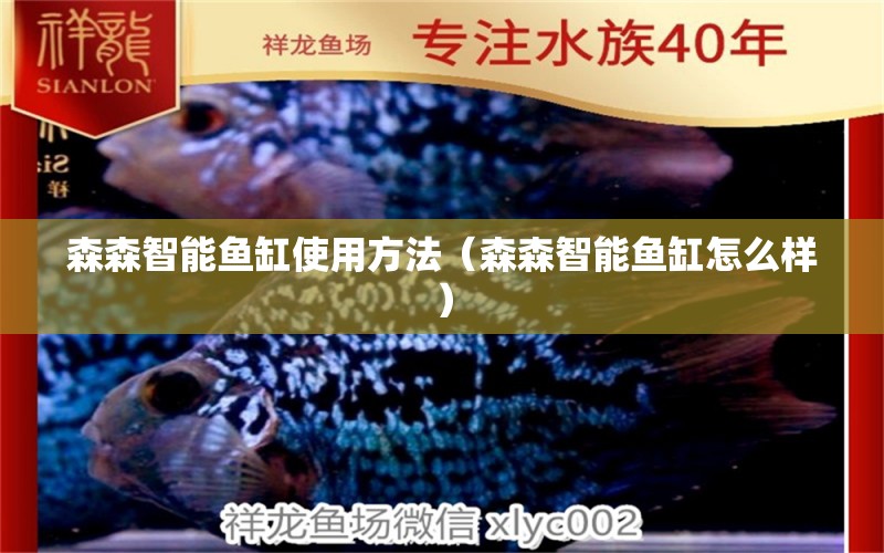 森森智能魚缸使用方法（森森智能魚缸怎么樣）